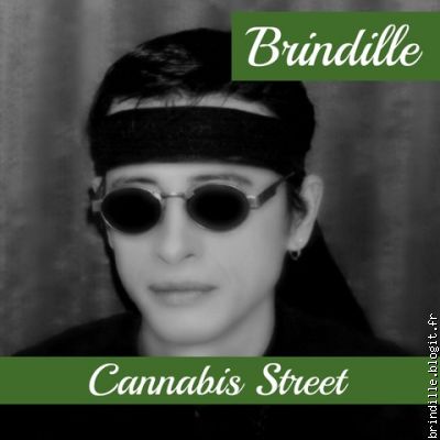 Légalisation du cannabis en France ! Brindille - Label de Nuit